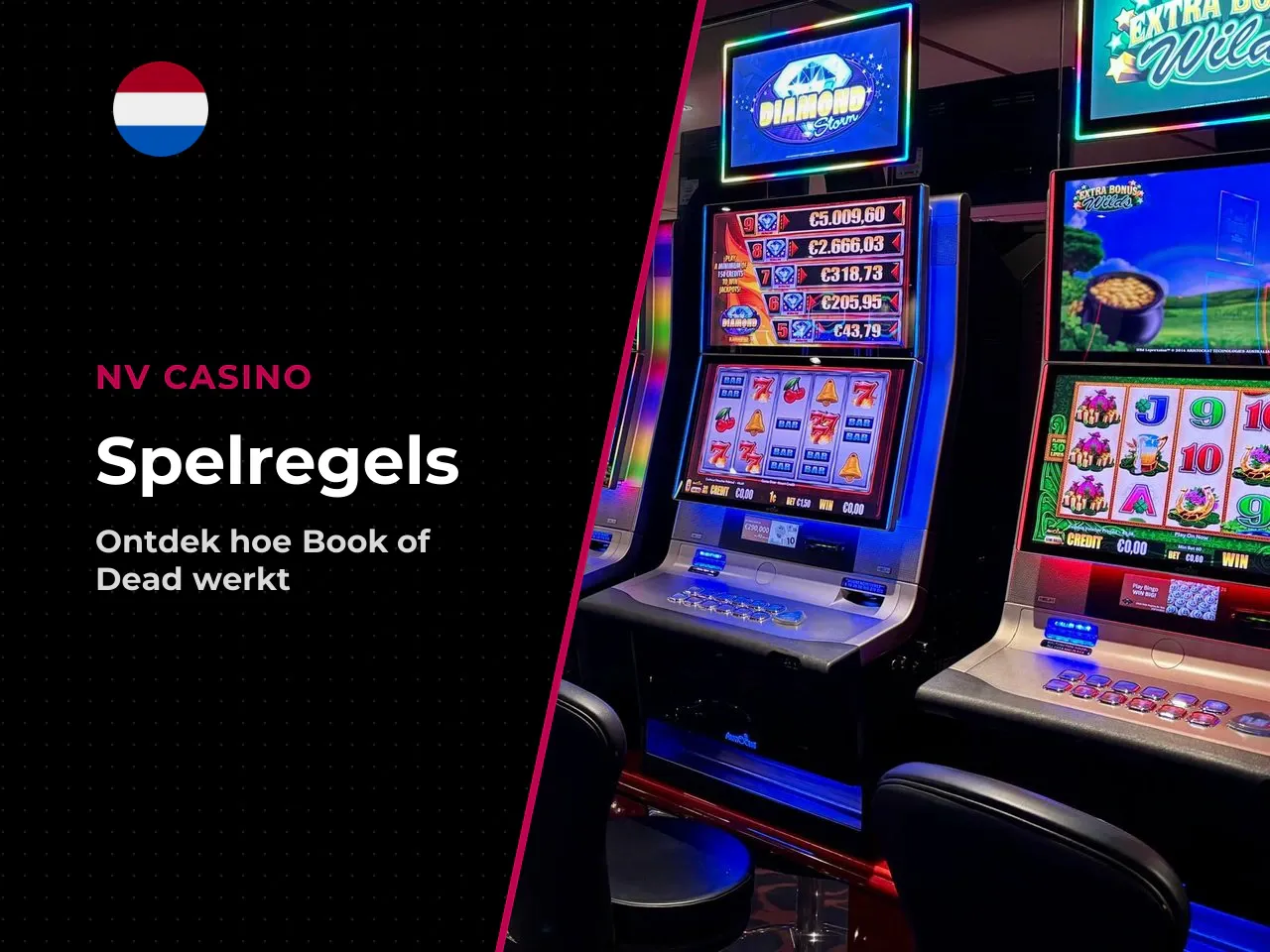Hoe werkt Book of Dead slot